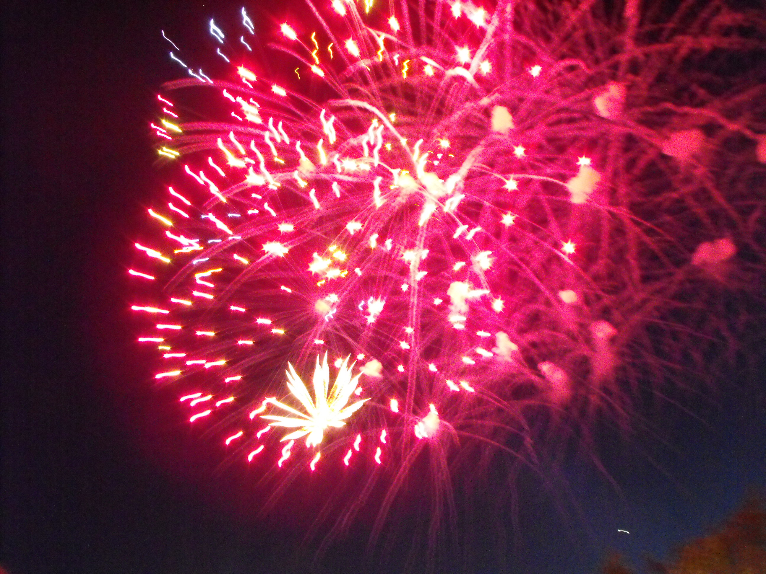 ./2010/Fourth of July/4th July Fireworks Wilm 0031.JPG